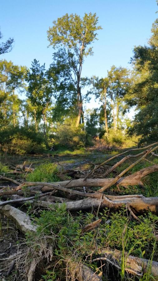 Gezinskamer Van Waard Van Kekerdom エクステリア 写真